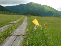 ���N�̓j�b�R�E�L�X�Q�͊O��B